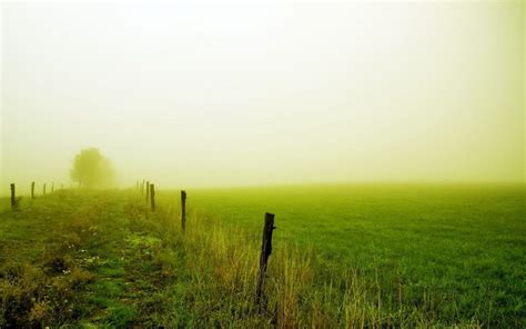 1680x1050 1680x1050 Field Fence Fog Green Wallpaper 