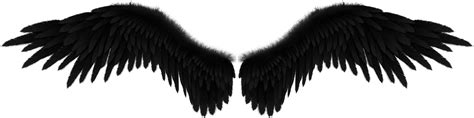 Fallen Angel Wing Black Angel Png Download 1600399 Free