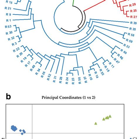 A Circular Dendrogram Estimated Through Upgma And B Principal