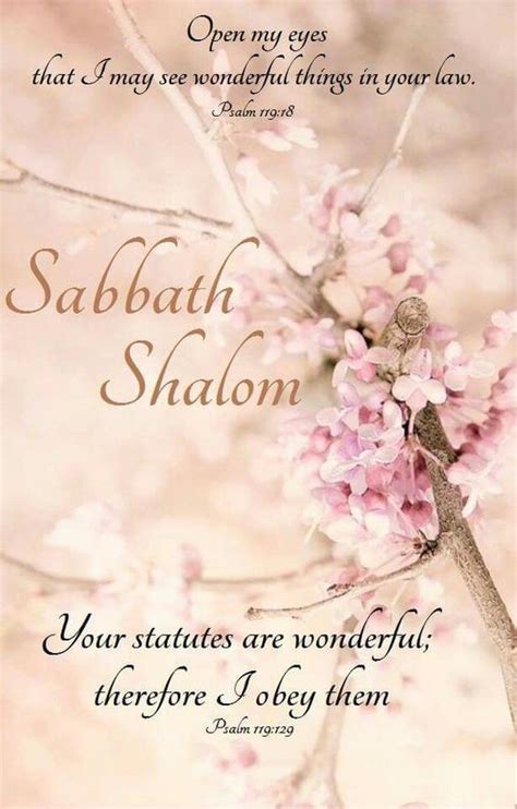 50 Beautiful Shabbat Shalom Greeting Pictures And Photos Bible