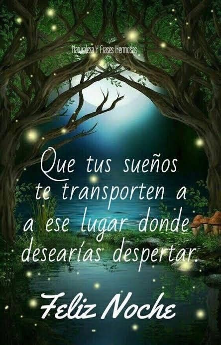 A Poster With The Words In Spanish On It And An Image Of A Forest At Night