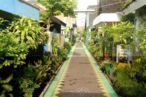 Penghijauan Kampung Dan Kebiasaan Berkebun Di Jakarta