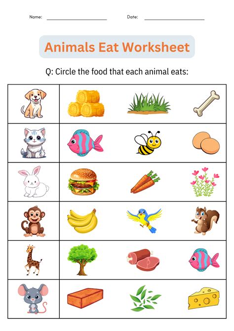 What Do Animals Eat Matching Animals And Their Food Worksheets For