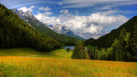 Green Trees Slope Mountains Grass Field Forest Landscape