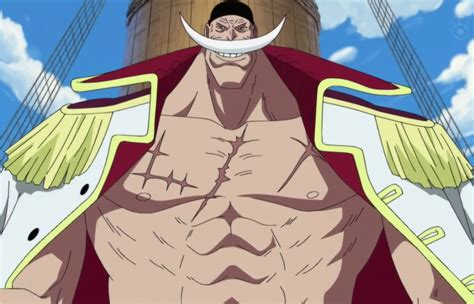 10 Facts About One Piece You Probably Don T Know Anime Yea