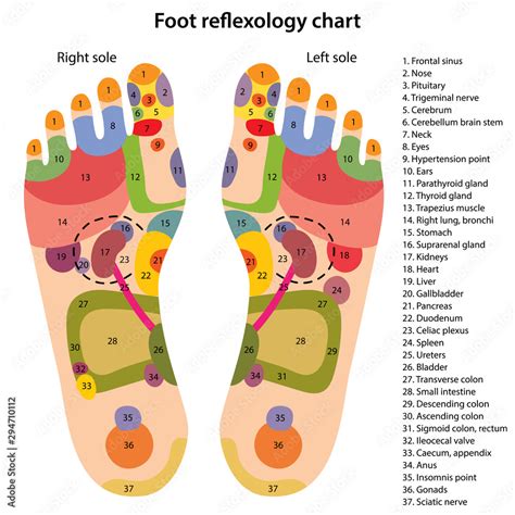 Printable Reflexology Foot Chart Showing Pressure Points Disabled The