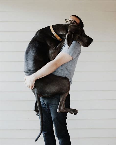 26 Dogs Hugging Their Humans Dogs Our Best Friends