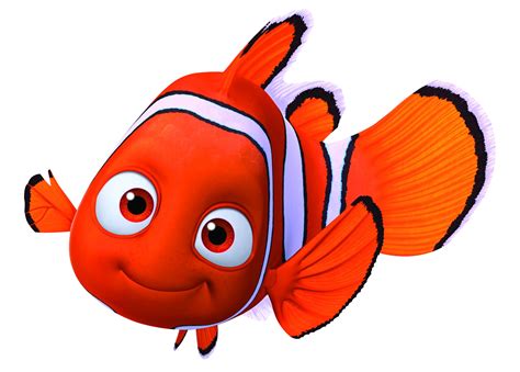 Mamá Decoradora Nemo Png Descarga Gratis