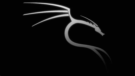 Kali Linux Wallpaper 1920x1080 Wallpapersafari