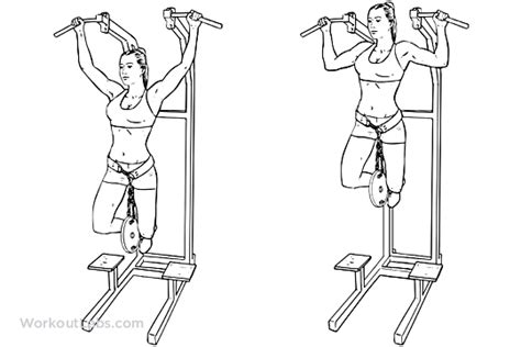 Weighted Pull Ups Pullups Workoutlabs Exercise Guide