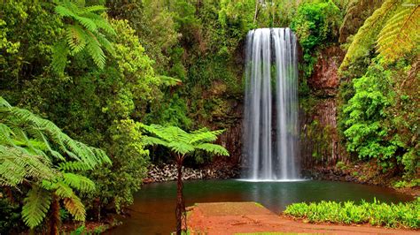 Tropical Waterfall Wallpapers Wallpaper Cave