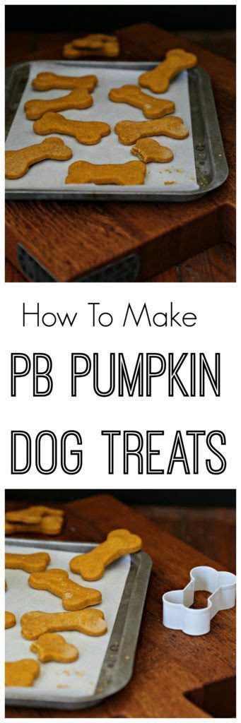 4 Ingredient Peanut Butter Pumpkin Dog Treats Dogtreats Healthy Dog