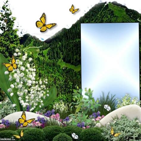 Nature Frame Photo Frame Gallery Photo Frame App Flower Background