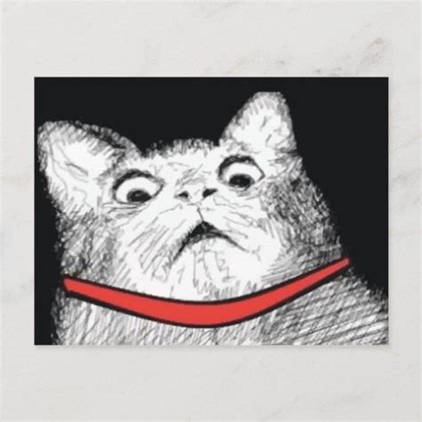 Surprised Cat Gasp Meme Postcard Size Postcard Gender Unisex