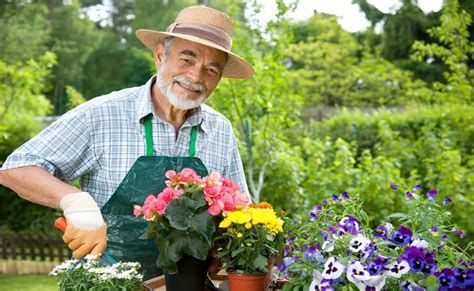 Enter your email address to receive the latest houses and gardens in your inbox. How To Garden Safely When You're A Senior