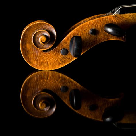 Violin Scroll Reflection Wall Art Photography
