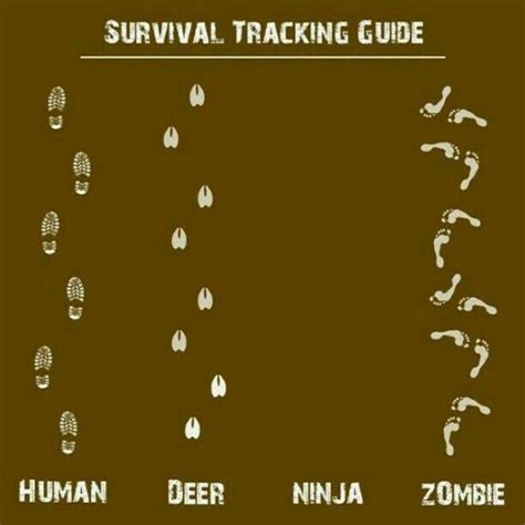 Survival Tracking Guide | Zombie survival guide, Zombie survival, Survival