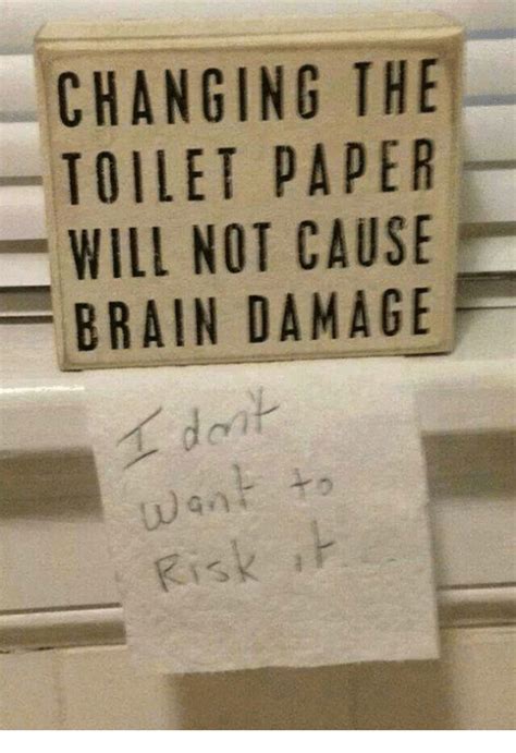 Changing The Toilet Paper Will Not Cause Brain Damage P Brains Meme