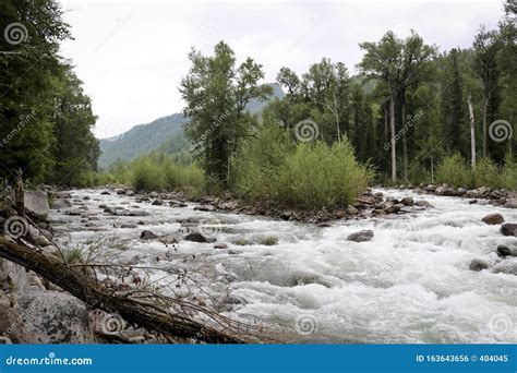 Mountain River Landscape In Siberia Stream Of A Mountain River