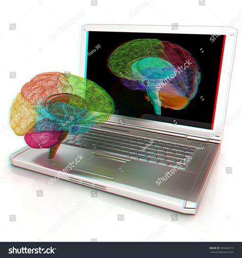 Creative Threedimensional Model Real Human Brain Stock Illustration
