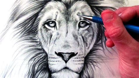 Lion Face Pencil Drawing At Getdrawings Free Download