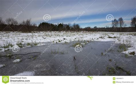 Winter Meadows With Snow And Frozen Puddle Stock Image Image Of