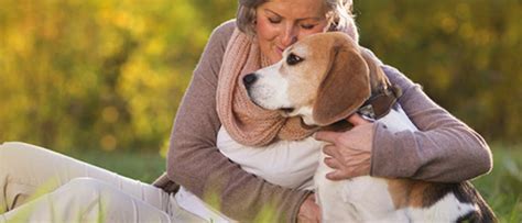 Protect your best friend with the best coverage. Senior Pet Care | Service dogs, Dog mom gifts, Dogs