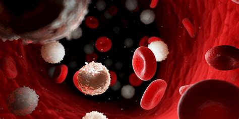 Blood Cancer Uk Stem Cell Foundation