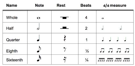 How To Read Drum Notes Like A Pro Beginners Guide To Drum Notes