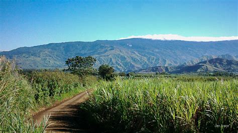 Bukidnon And Davao Mountains Len Joson