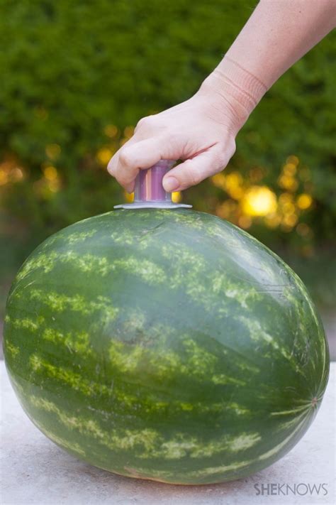 An Entire Watermelon Filled With Vodka Yes Please Sheknows