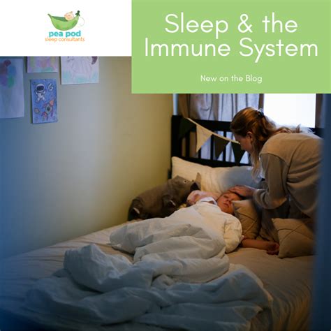 The Healing Power Of Sleep Sleep And Your Immune System