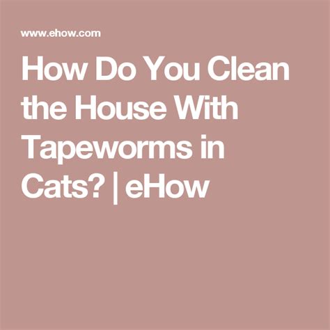 But unfortunately, cats can—and do— get bored. How Do You Clean the House With Tapeworms in Cats | How do ...