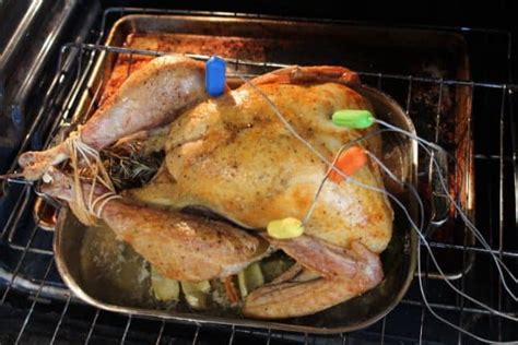 How To Insert Meat Thermometer Into Turkey