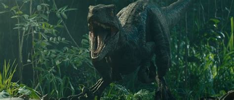Jurassic World Dominion Finally Has Feathered Dinosaurs Heres How They Got The Details Right