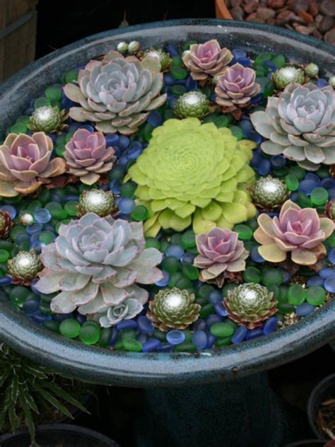 39 Diy Indoor Container Water Garden Ideas Succulents In Containers