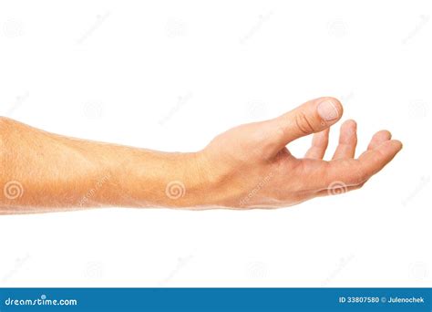 Open Palm Hand Gesture Of Male Isolated On White Stock Photo Image Of