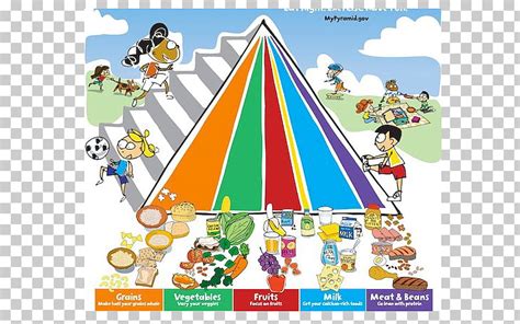 Food Pyramid Physical Ed Quiz Quizizz