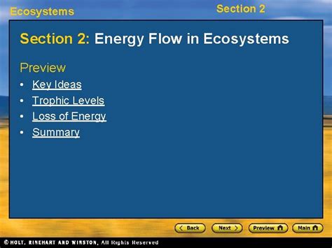 Ecosystems Section 2 Energy Flow In Ecosystems Preview