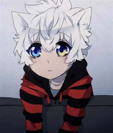 Anime Furry Anime Wolf Anime Neko Kawaii Anime Anime Guys Neko Boy
