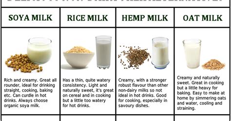 Delicious Non Dairy Milk Alternatives Useful Information