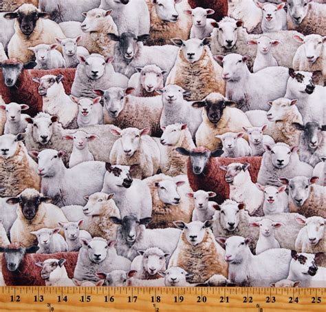 Cotton Sheep Lambs Animals Barnyard Farm Animals Cream Cotton Fabric