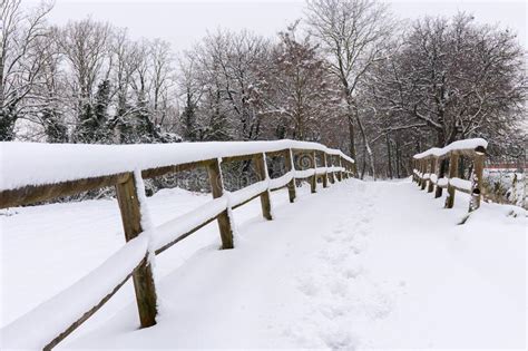 Snowy Landscape Fence Stock Photo Image Of Snow Snowy 111004552