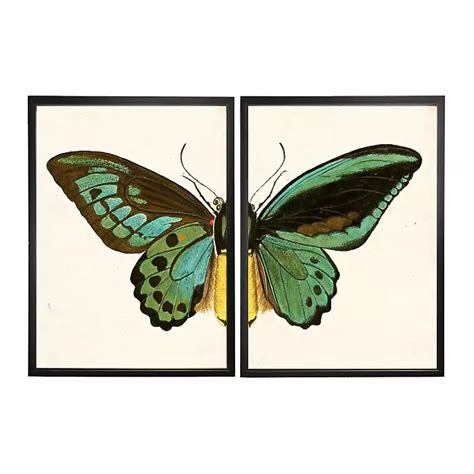 Butterfly Wall Art Vintage Butterfly Poster Butterfly Printable