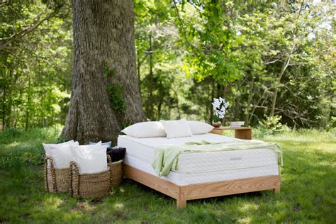 Savvy rest mattresses, furnishings & your health. Savvy Rest Serenity Latex Mattress All Dunlop | Natural ...