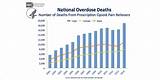 Marijuana Related Deaths Photos