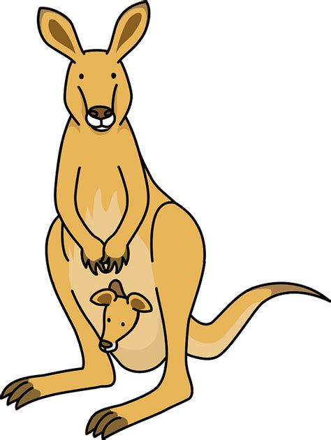 Kangaroos Mother And Baby Clipart Free Download Transparent Png