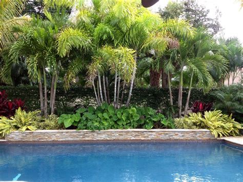 Pool Landscaping With Palm Trees Tianna Minton