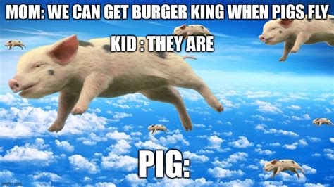When Pigs Fly Imgflip
