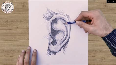 4 How To Draw An Ear For Beginners رسم الأذن بطريقة سهلة Youtube
